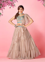 Beautiful Rose Taupe color lehenga at affordable price - Joshindia