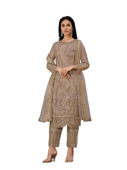 Beige Color Women Soft Net Embroidery Work Straight Salwar Suit - Joshindia