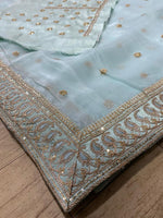 Beautiful sky blue color organza silk saree at affordable price - Joshindia